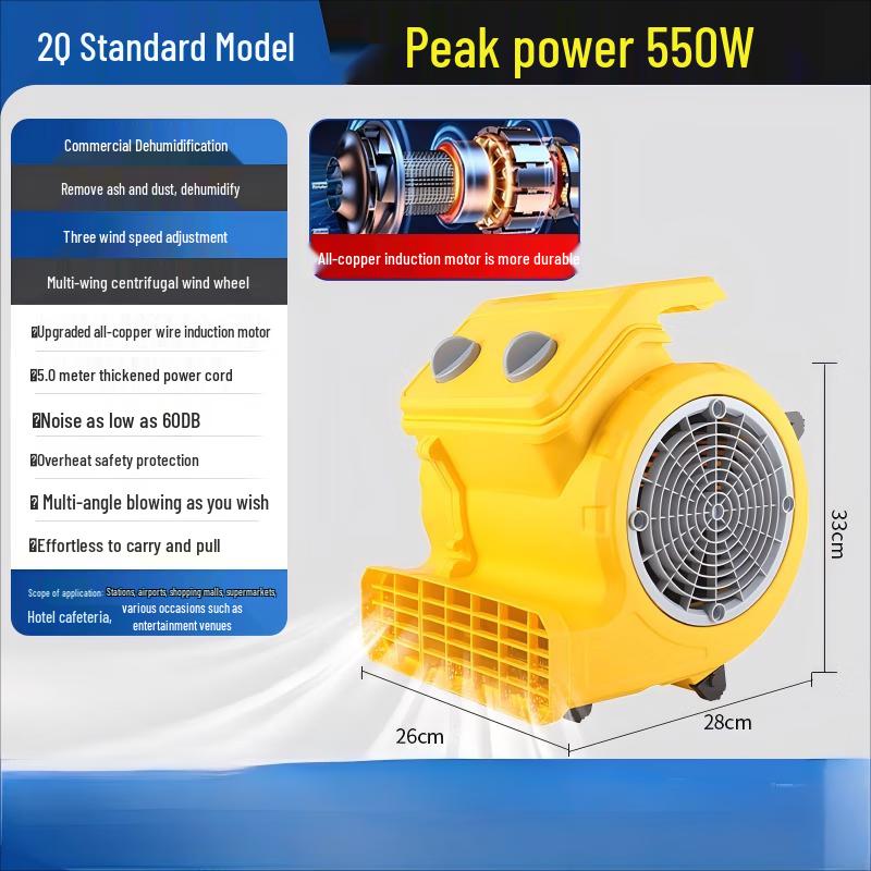 SheYue 550W Variable Speed Commercial & Home Floor Dryer CN plug (adapter included)