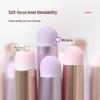 Compact Lip Brush - Small Round Head with Cap for Lipstick, Blending, and Concealer. Ideal for Professional Makeup.