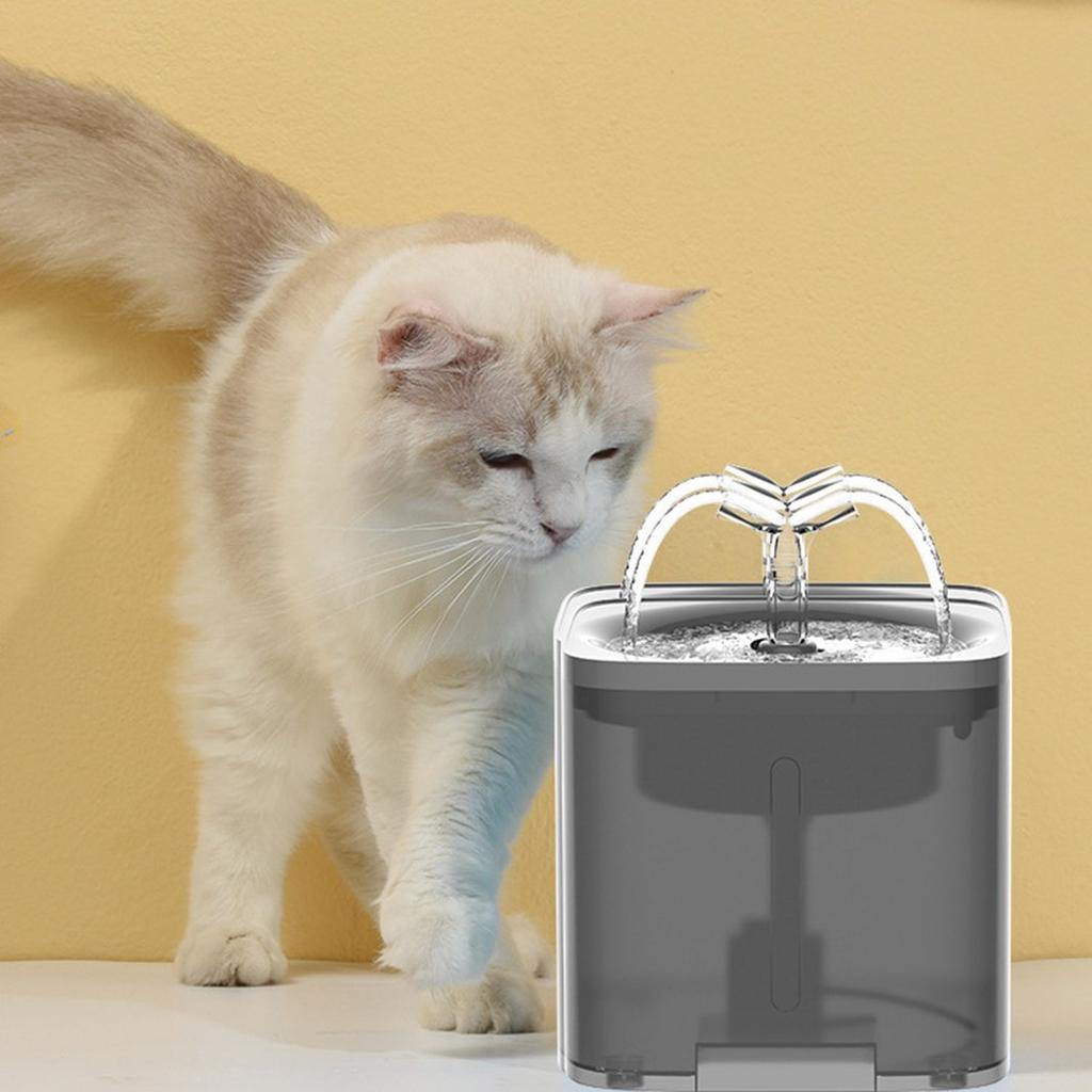 automatic cat feeder water