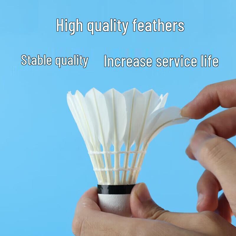 DHS Ruifeng Professional Duck Feather Badminton Shuttlecocks