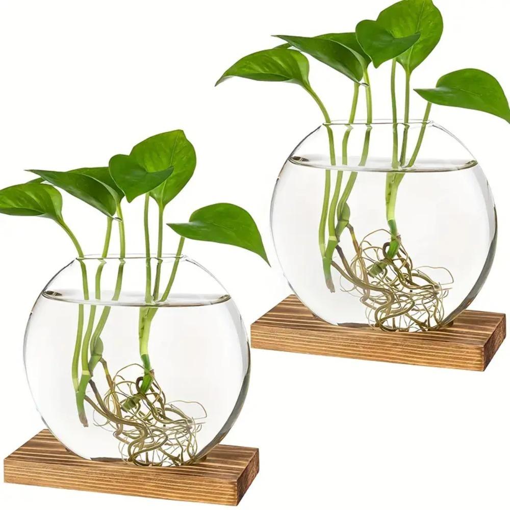 Transparent Glass Round Glass Planters Wooden Stand Plants Glass Vase Plant Lover Gift