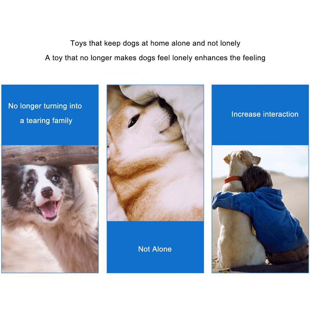 2 Stück/Set Sicherer und geruchloser Hundeball - Vollgummispielzeug für Training, Zahnabrieb, Trainingszubehör