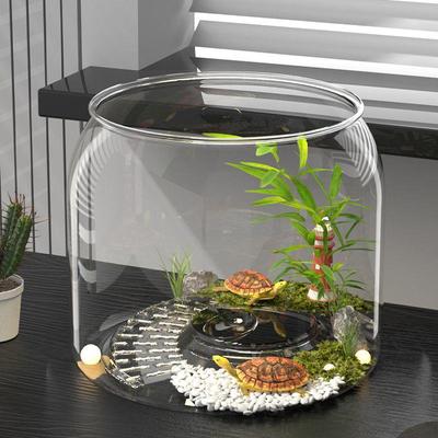Hochtransparenz Desktop Fisch- & Schildkrötenbecken mit Kletterplattform – Ornamentales Betta-Öko-Becken für Wohnzimmer
