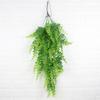 Pteridium Latiusculum Plant For Wedding And Outdoor Decorate Events