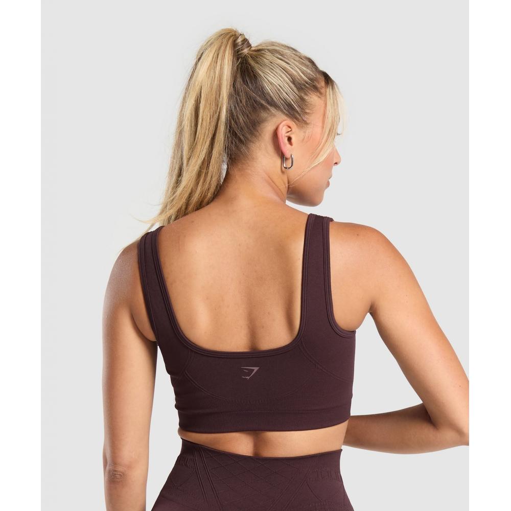 Gymshark Corset Seamless Sports Bra Heritage Brown B9a7p Ncnz