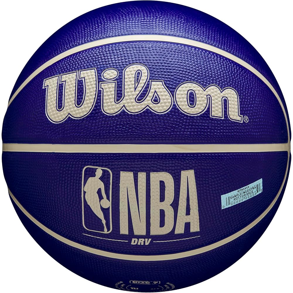 Wilson NBA DRV Drive Indigo Outdoor Basketball Size 5 WZ3016201XB5