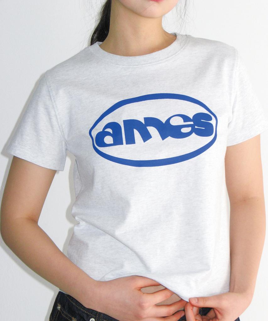 AMES-WORLDWIDE Ames Circle Logo Symbol Tee Light Gray
