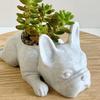French Bulldog Planter Pot Resin Statue Figurine Succulents Herb Plants Flower Pot Container Home Balcony Garden Decoration
