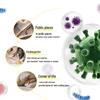Walch Foaming Antibacterial Hand Wash Bundle