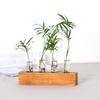 Transparent Glass Hydroponic Plants Container Wooden Stand Glass Tube Vases  Weddings