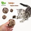 Matatabi Catnip Ball: Bite-Resistant, Teeth-Cleaning Toy for Cat Amusement