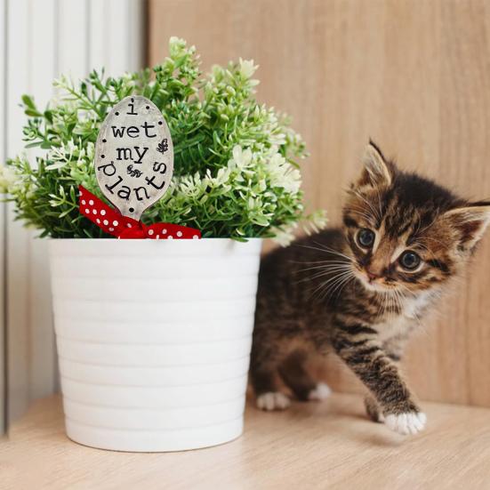 Hage Markør Skje Vennskapsgave Utskårne Ord Kraftig Metall Sukkulenter Blomster Grønt Planter Stikke DIY Dekorativt Skilt Voksen Sex Undertøy