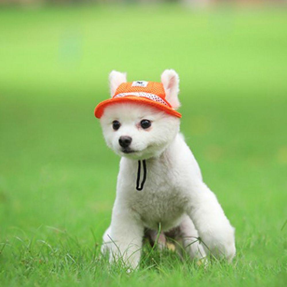 Stripe Sun Cap for Small Medium Canvas Sunhat Cat Hat Dog Caps Pet Products