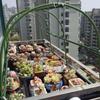 10 Peças Arcos de Jardim à Prova de Ferrugem para Túnel Estrutura de Estufa Arco Flexível para Túnel Arcos de Proteção de Culturas Para Canteiros Elevados à prova de geada
