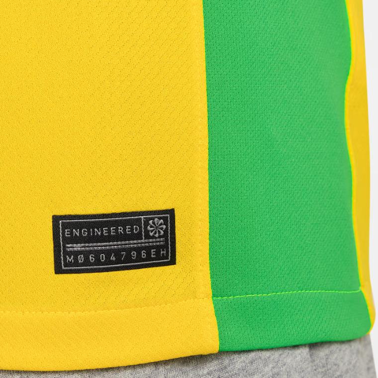 Nike Brazil 2025 Stadium Home (Women's Team) Men's Nike Dri-FIT Soccer Replica Jersey FZ9011-718