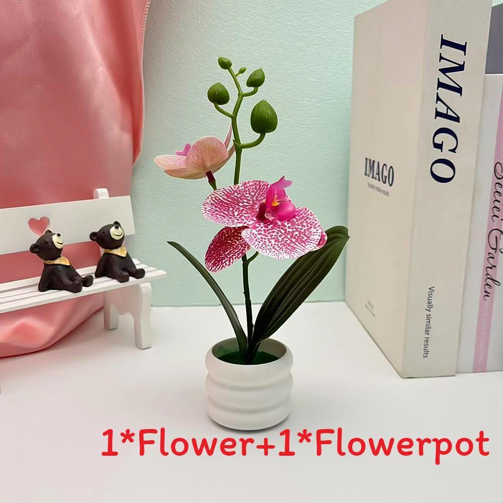 Flower Phalaenopsis Potted For Event Decor And Indoor Home Embellishment
