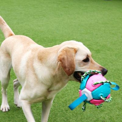 Dog No Litter Dog Tug Play Dog Tug Toy Pet Dog Medium Sized Dog Tug Play Disk Tug Toy for Large Dogs, Pink + Blue