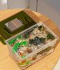 Fish Tank Turtle Tank Outdoor Insect Specialized Container Portable Breeding Box With Lid