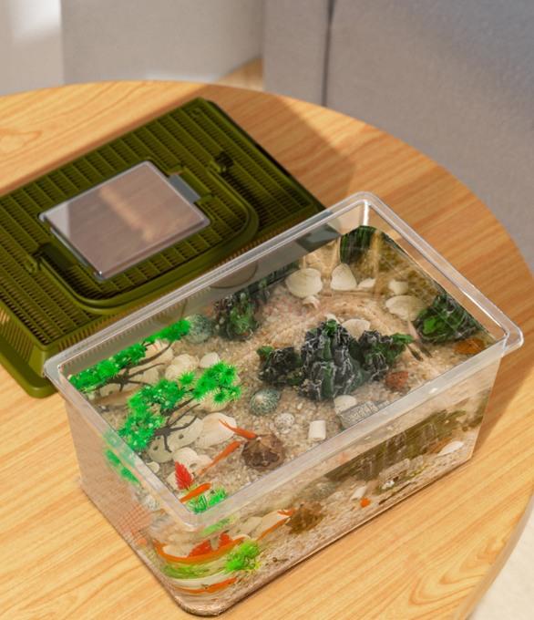 Fish Tank Turtle Tank Outdoor Insect Specialized Container Portable Breeding Box With Lid