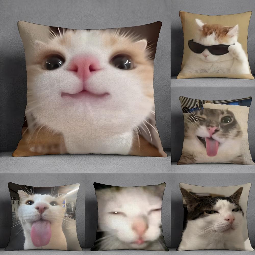 Cat Funny MEME Pillow Case Pillowcase Doublesided Printed Sofa Cushion Bedroom Headboard Pillow