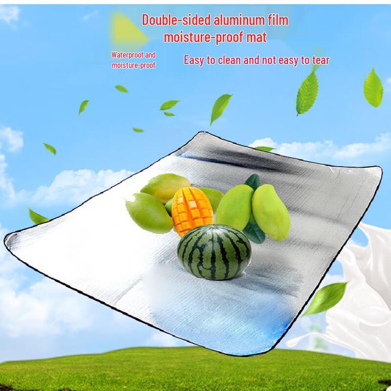 

Outdoor Camping & Picnic Mat 200 x 150 x 2.5 cm