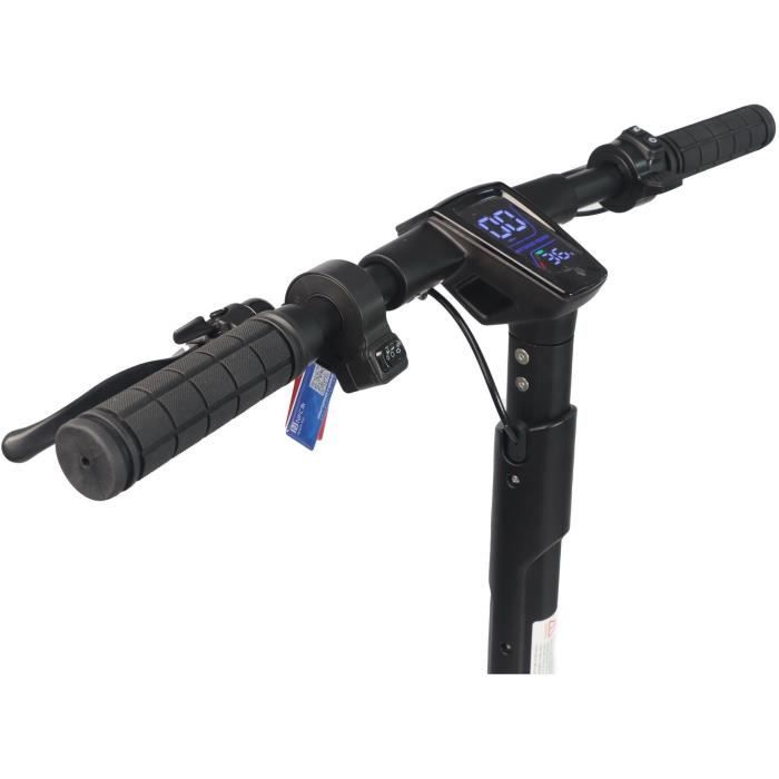 Electric Scooter - DUALTRON DOLPHIN - 9'' Wheels - Max Power 600W - Range 50 KM