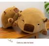 Adorable Capybara Plush Doll: Round Pillow & Creative Birthday Gift