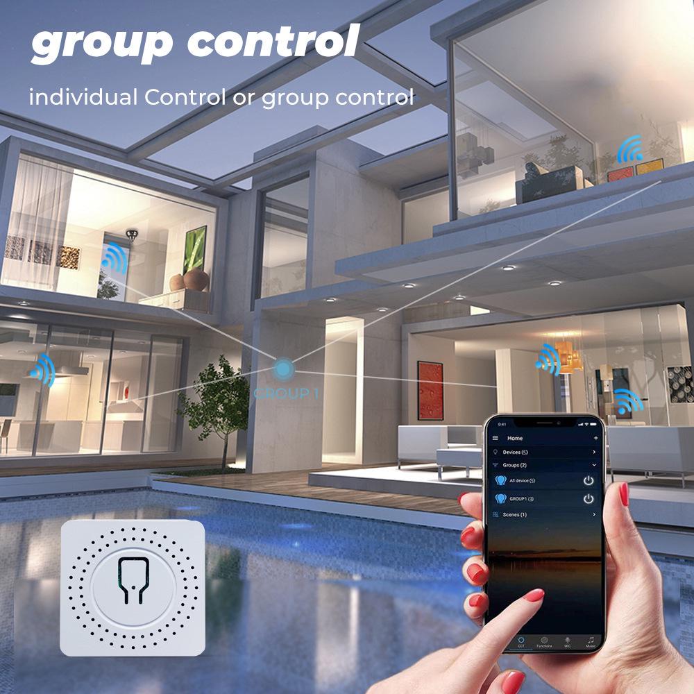 WiFi Tuya Smart Mini On/Off 10A/16A Relay Switch with RF Remote & Two-Way Control