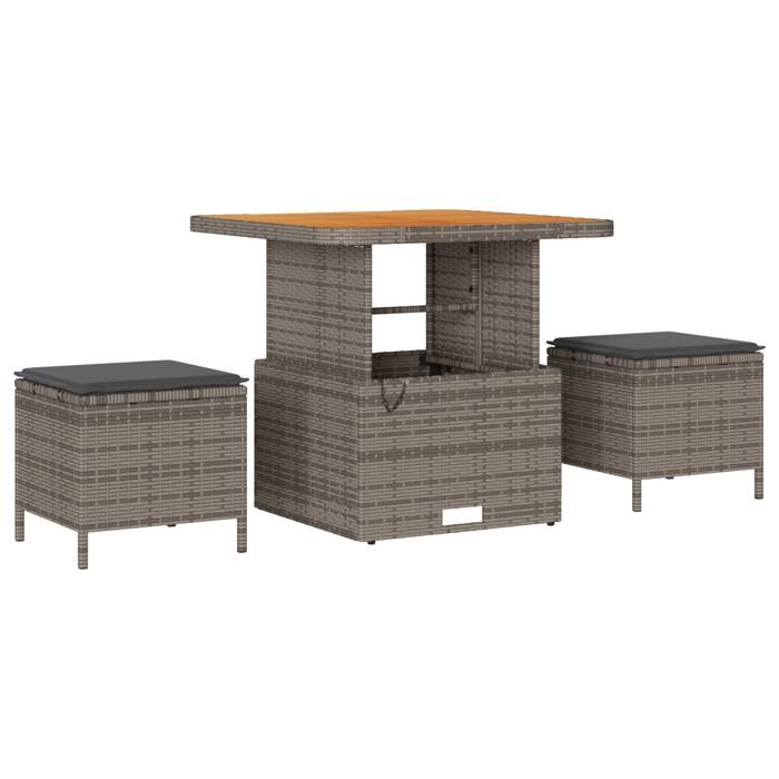 Ensemble de 11 Pièces de Canapé de Jardin avec Coussins Gris Rotin Synthétique Acacia, Ensemble 3 Pièces de Salle à 3365228