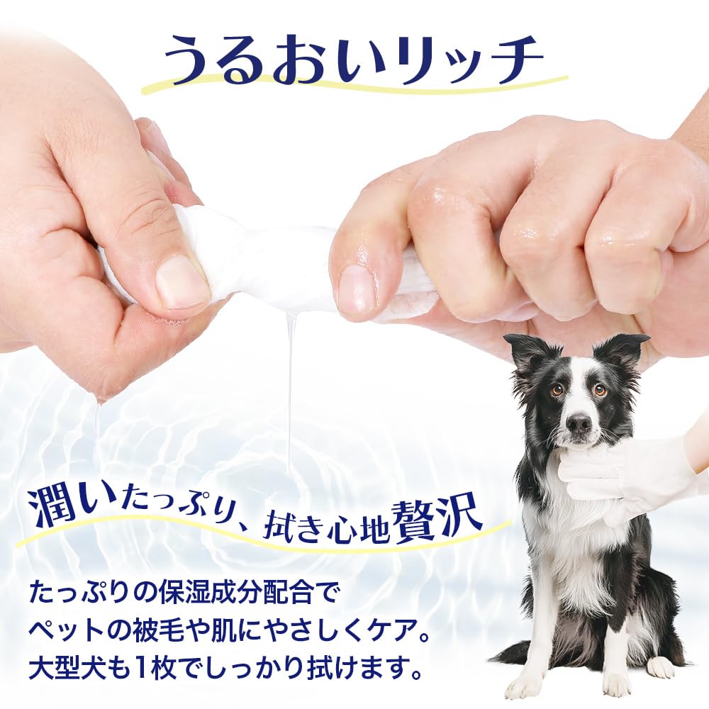 MILLATIUM Cat and Dog Shampoo Body Paw and Wet Gloves of Sheets, Sheets, Wipes, (Set 2)