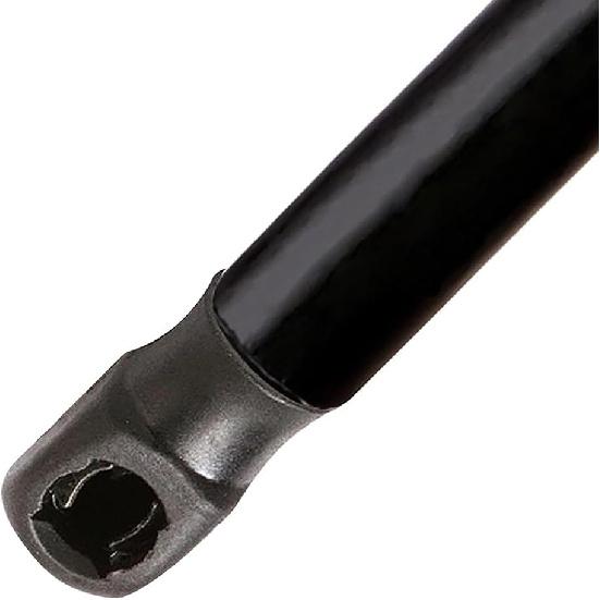 6425 Rear Trunk Lift Supports Shocks Struts Arms Prop Rod Damper Gas Springs for Volkswagen Beetle 2003-2008 Beetle Cabrio 2009-2010 Convertible