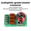 100W Pure Tweeter Crossover with Multi-Band Sound Adjustment for Home Theater Speakers and Car Audio