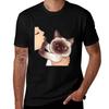 Dont Kiss Mew Cat Refused Women Kiss Funny Cat TShirt Fashion Casual Short Sleeve Top