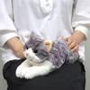 Sunlemon Knee Cat Plush Toy White 13x36x15cm Cute Animal Stuffed Cat P-7812