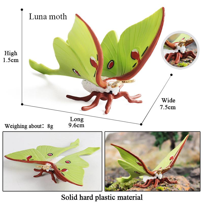 Oenux  Insect Animals Model Butterfly Bee Dragonfly Mantis Ant Snail Action Figures Jouet Collection Decor Kids Education Toy