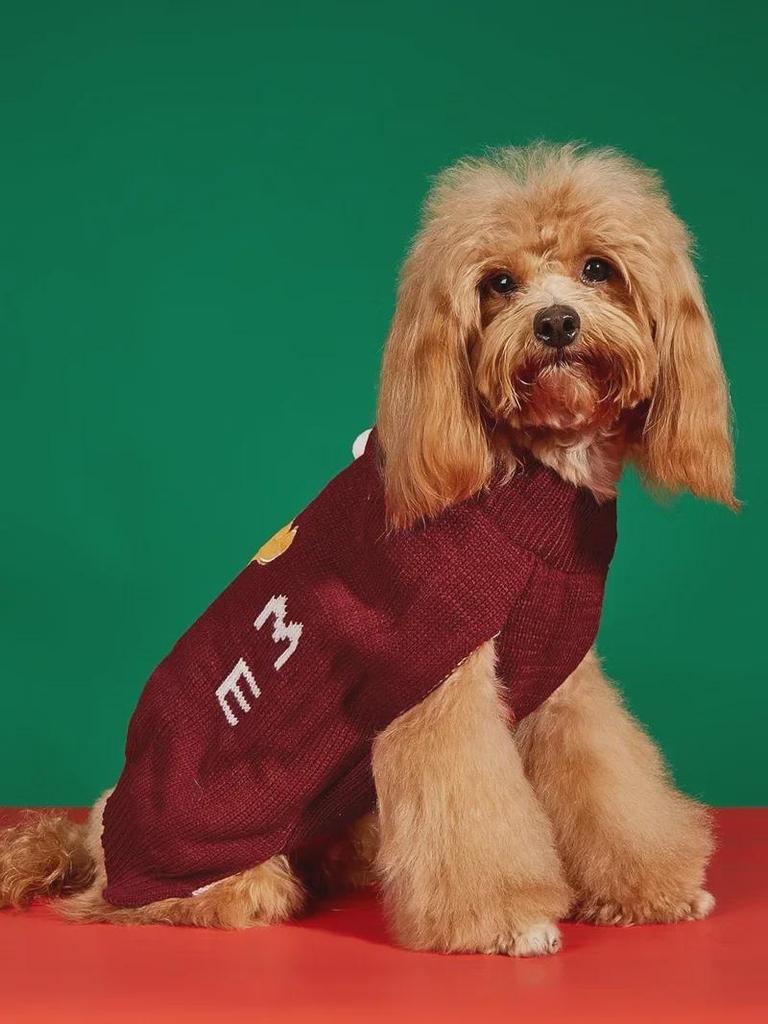 Świąteczny sweter dla zwierząt: Mikołaj, Drzewko, Łoś, Płatek Śniegu i Piernikowy Wzór na Jesień/Zimę