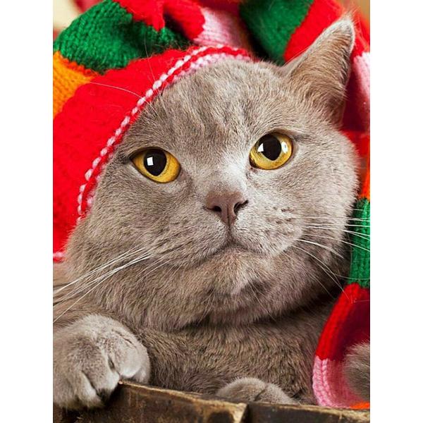 5D Diamond Painting Animal Cat Diamond Embroidery Christmas Cat Cross Stitch Rhinestone Picture Mosaic Set Christmas Home Decor