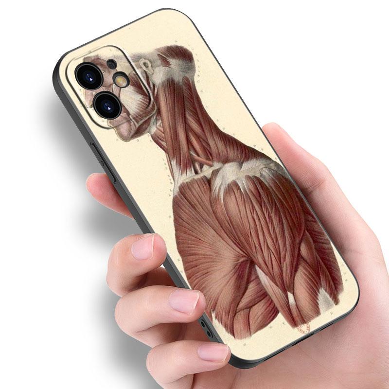 Medizinische Menschliche Organe Gehirn Meridian Niere Hohe Fall Für Apple iPhone 14 13 12 Mini 11 Pro Max 7 8 XR X XS 7 8 Plus SE 2020 2022