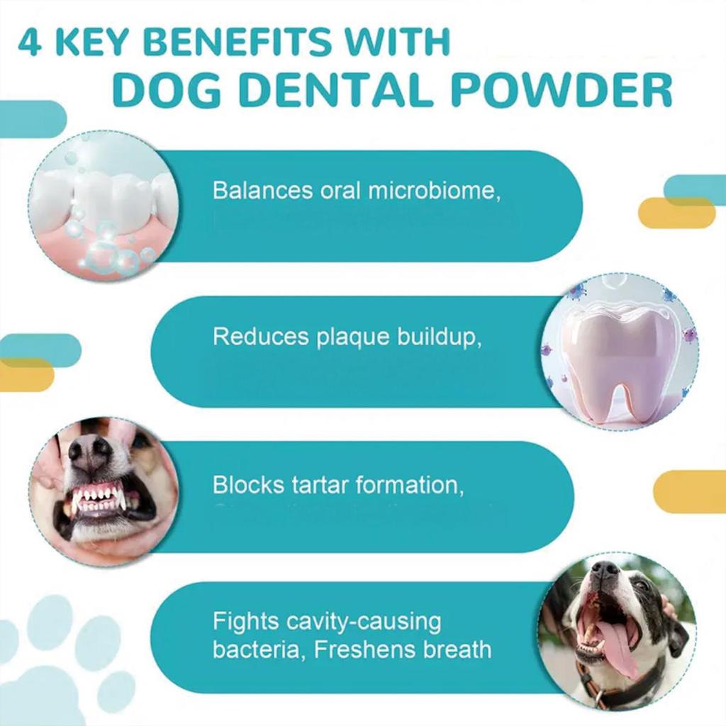 Allowing Pet Parents To Choose Cleaning Products As Daily Cleaning Items with Peace of Mind