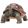 Mojo Tortoise Figure 387259