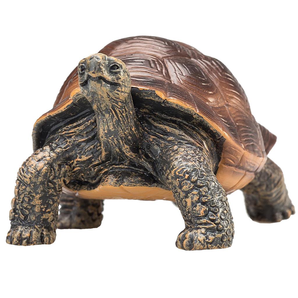 Mojo Tortoise Figure 387259