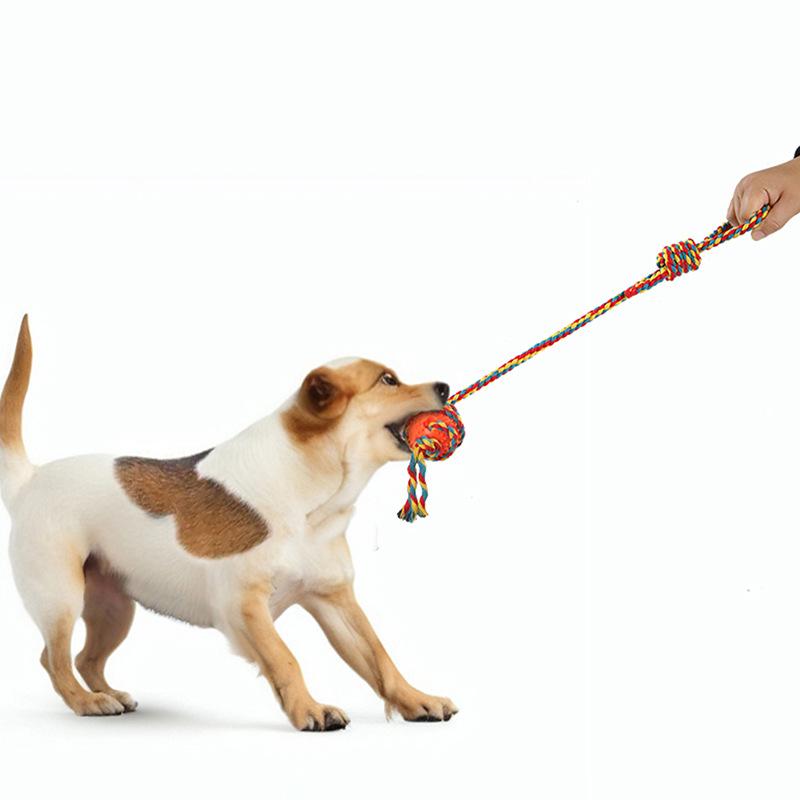 Pet Supplies: Knots, Teething Sticks, Dog Toothbrushes, Interactive Dog Toy Balls