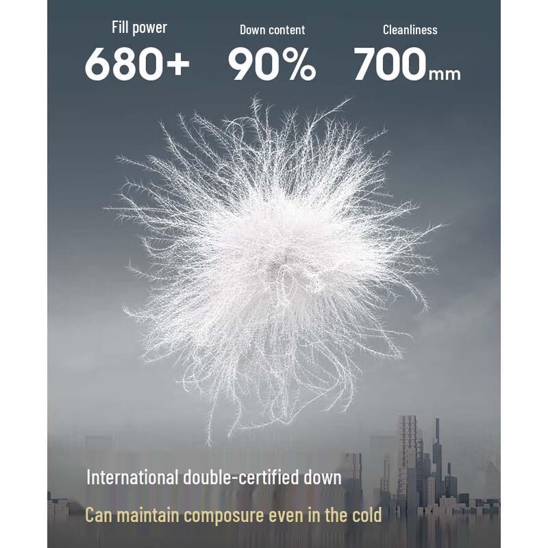 BOSIDENG B250245288 Stylish Stand-Collar Down Jacket