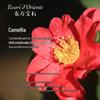 Tesori d'Oriente Japanese Style Camellia Hand Cream 75ML