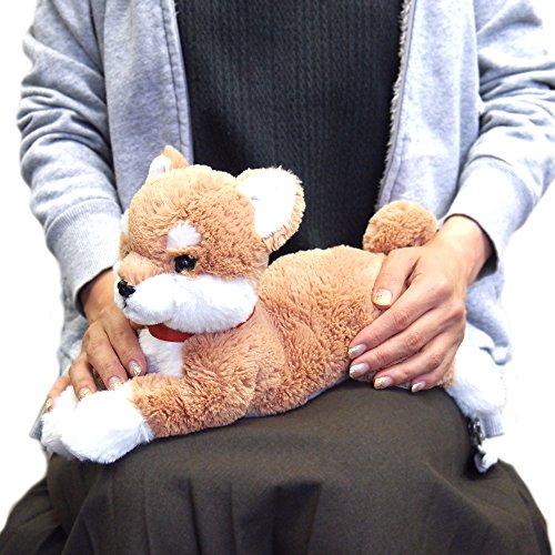 SUN LEMON Shiba Inu Lap Dog Plush Toy, Beige, Small, P-3052