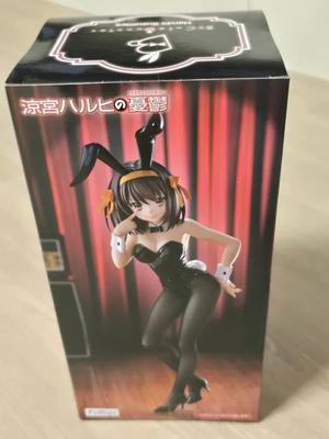 Renkoku, Haruhi Figure