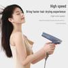 INNOVATOR Folding Hair Dryer: Plasma Technology, Damage-Free, High-Speed Motor, Low Noise