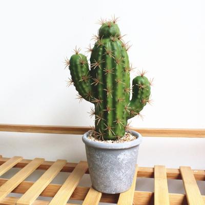 Yousheng Fake Plant Decorative Beautiful Realistic Potted Plants Fake Desktop Cactus Landscape Decor for Home