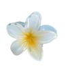 Colorful Frangipani Gradient Claw Clip for Women - Candy-Hued Flower Hair Accessory