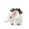 Japanese-Style Groceries New Gardening Flower Pots, Creative Office Desktop Potted Plants White Succulent Flower Pots Ceramic